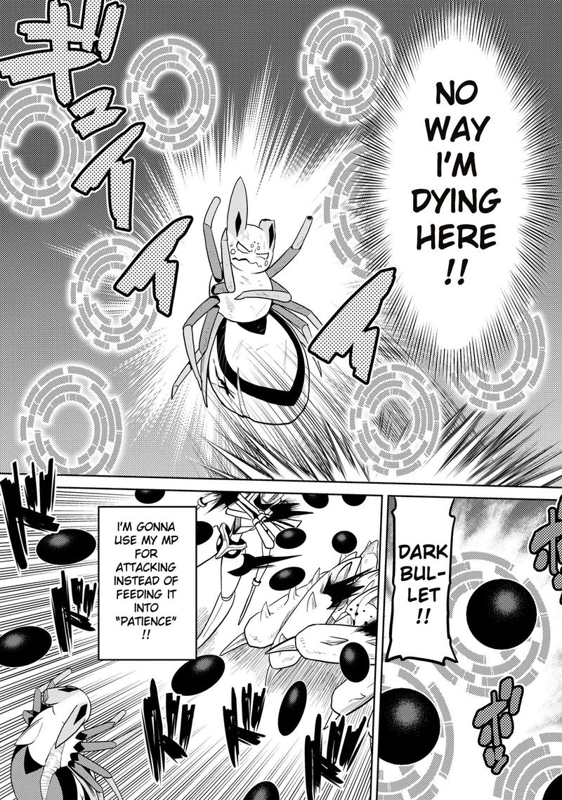 Kumo Desu Ga Nani Ka 41 3