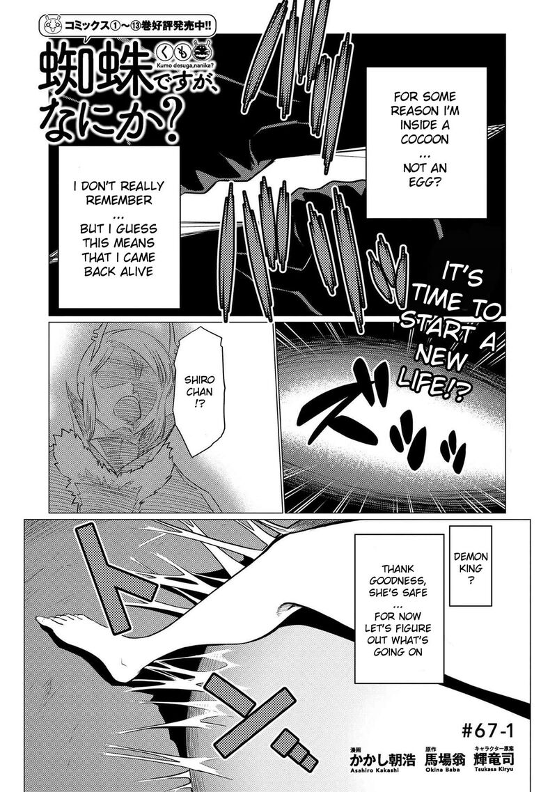 Kumo Desu Ga Nani Ka 67a 1