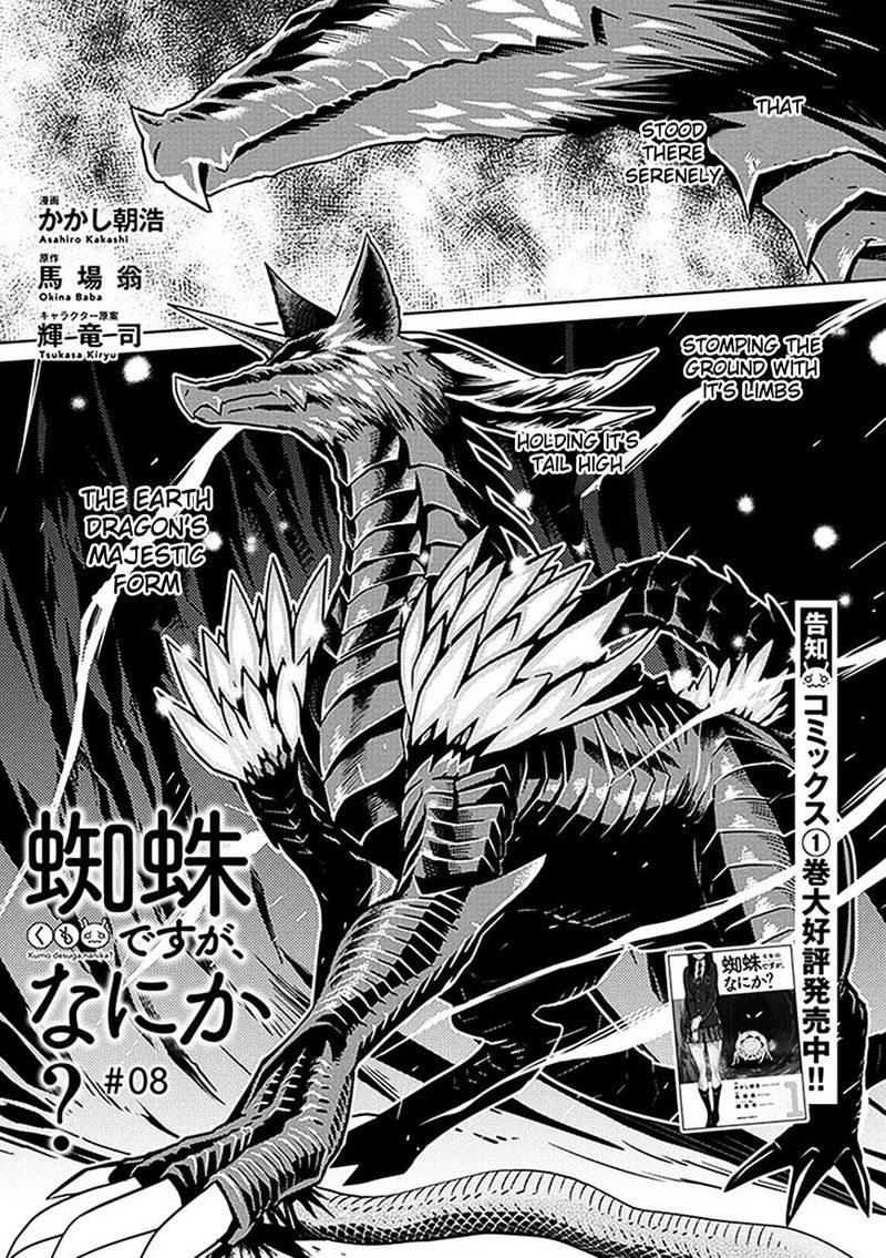 Kumo Desu Ga Nani Ka 8 1