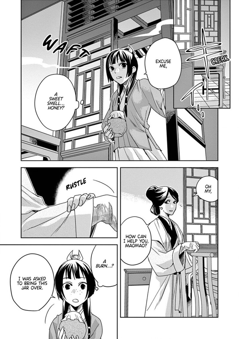 Kusuriya No Hitorigoto Maomao No Koukyuu Nazotoki Techou 10 33