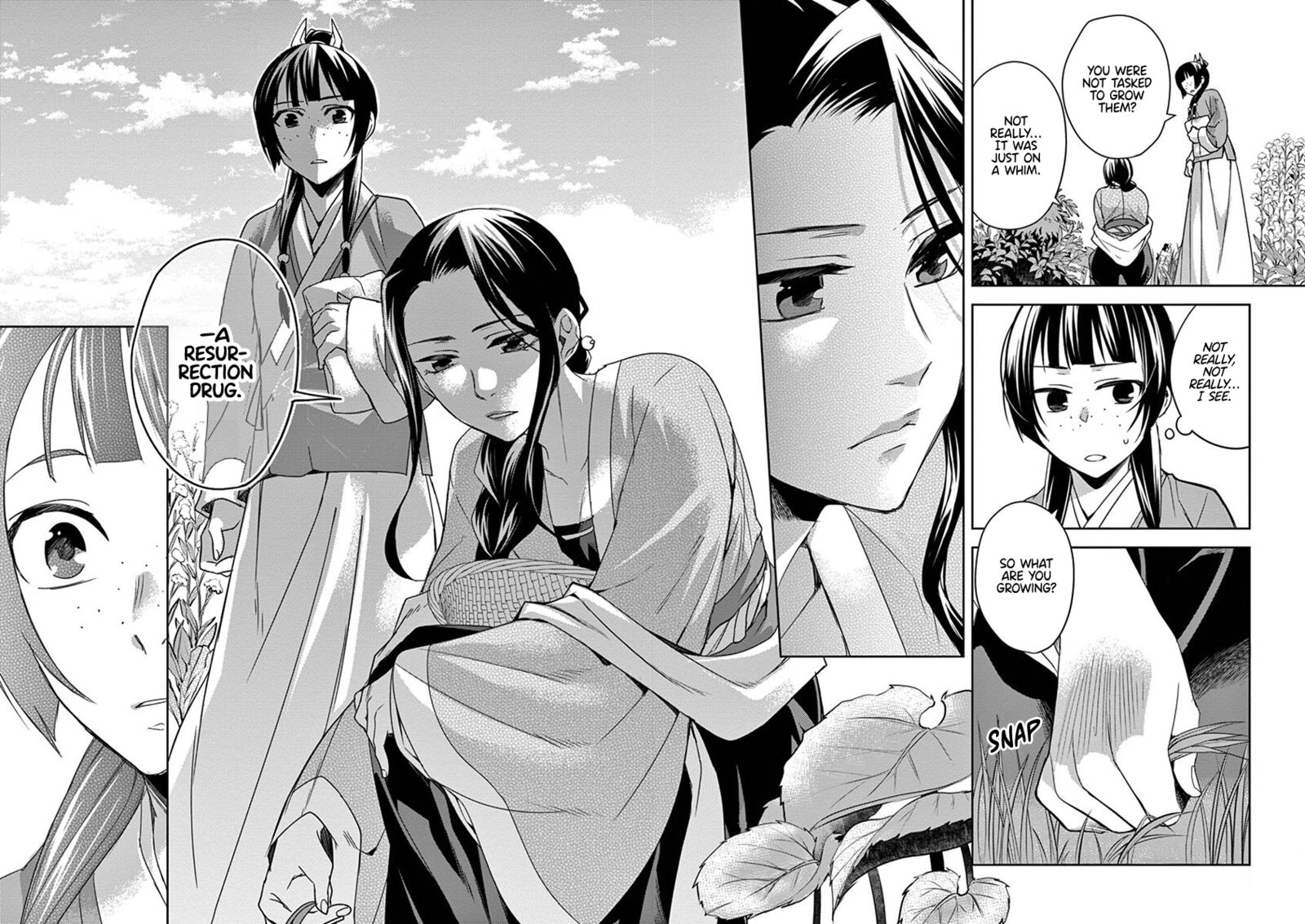 Kusuriya No Hitorigoto Maomao No Koukyuu Nazotoki Techou 22 13