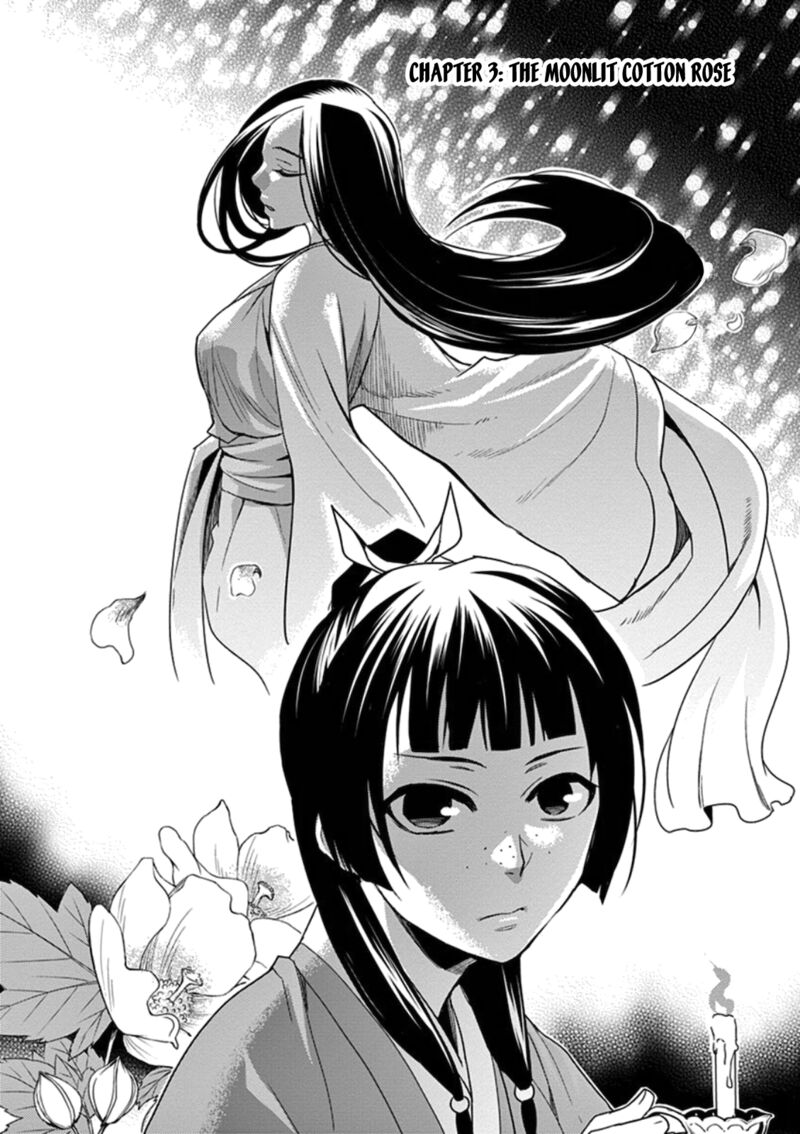 Kusuriya No Hitorigoto Maomao No Koukyuu Nazotoki Techou 3 2
