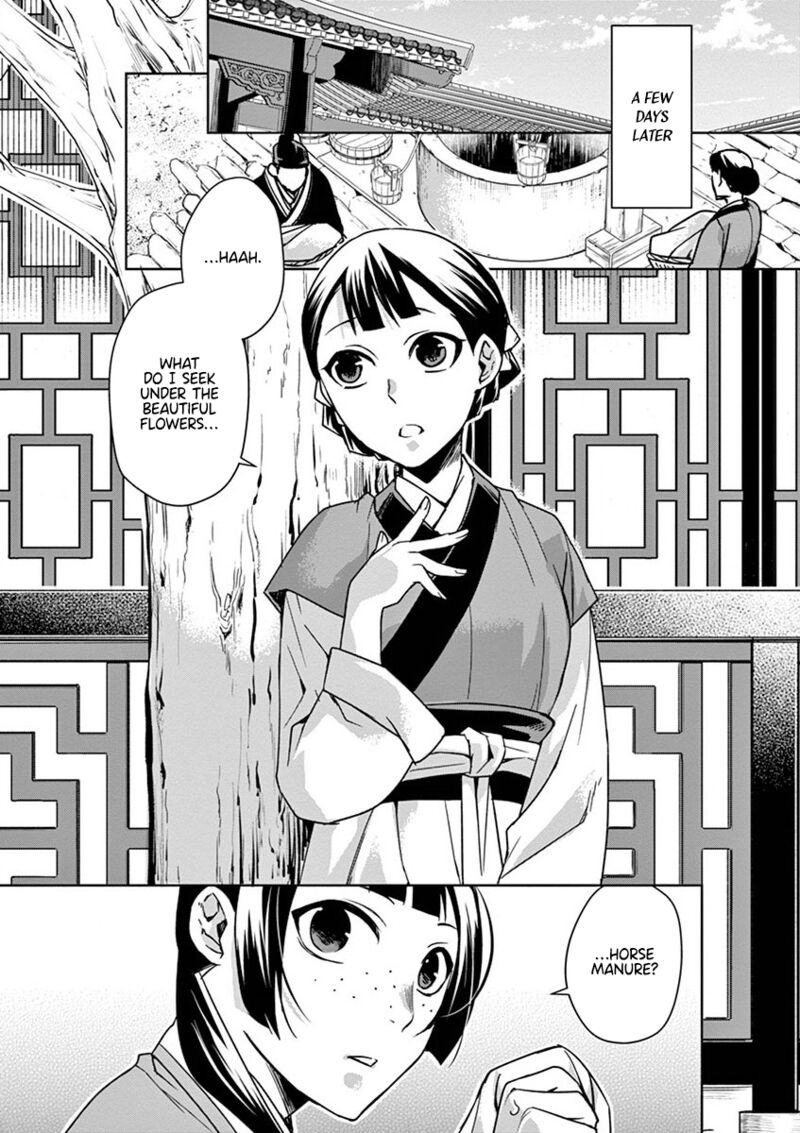 Kusuriya No Hitorigoto Maomao No Koukyuu Nazotoki Techou 31 19