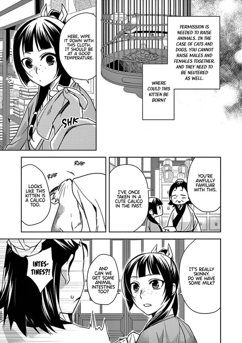 Kusuriya No Hitorigoto Maomao No Koukyuu Nazotoki Techou 32 5
