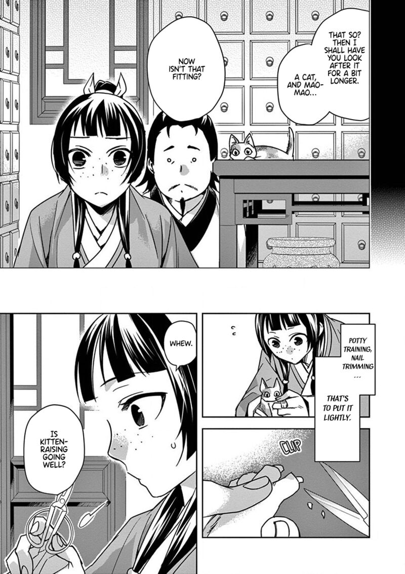 Kusuriya No Hitorigoto Maomao No Koukyuu Nazotoki Techou 32 9