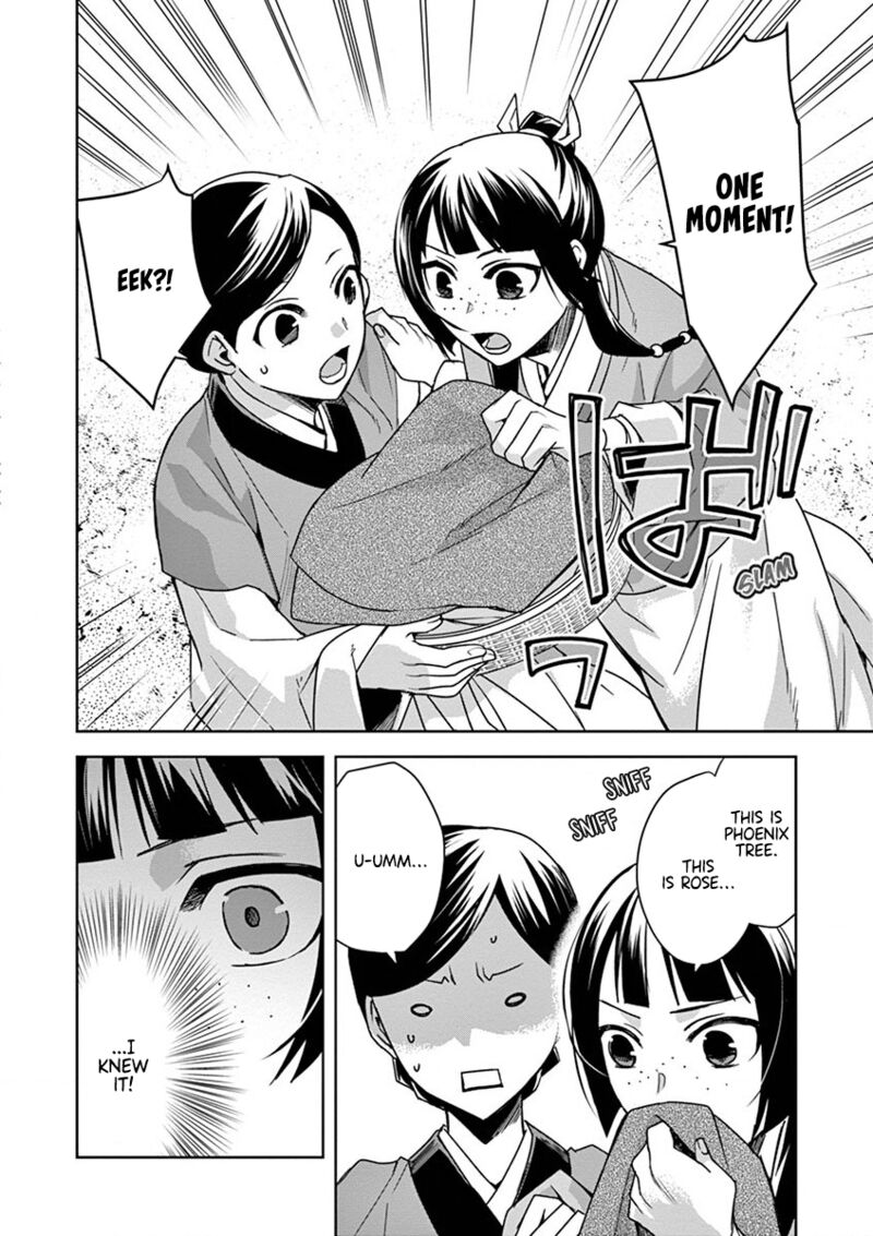 Kusuriya No Hitorigoto Maomao No Koukyuu Nazotoki Techou 33 12