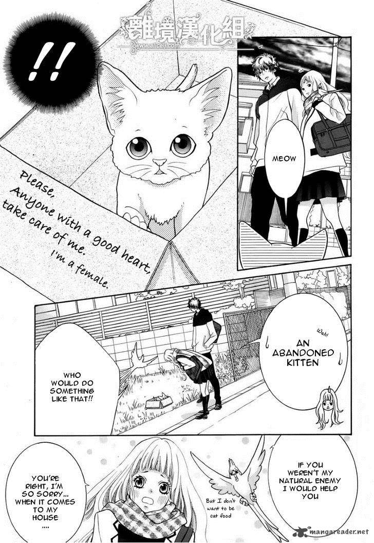 Kyou No Kira Kun 13 8
