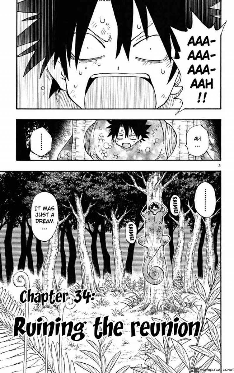 Law Of Ueki Plus 34 3
