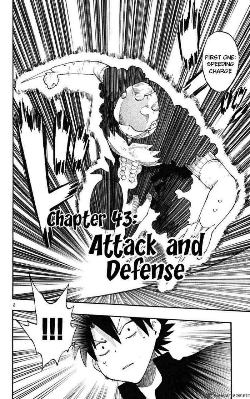 Law Of Ueki Plus 43 2