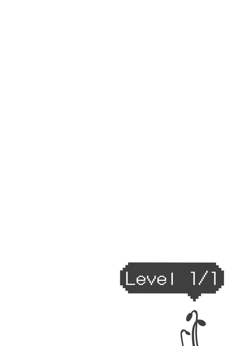 Level 1 With S Rank Drop Rate Is The Strongest 10 33