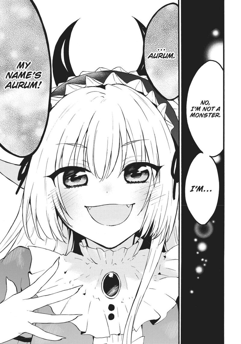 Level 1 With S Rank Drop Rate Is The Strongest 70b 18