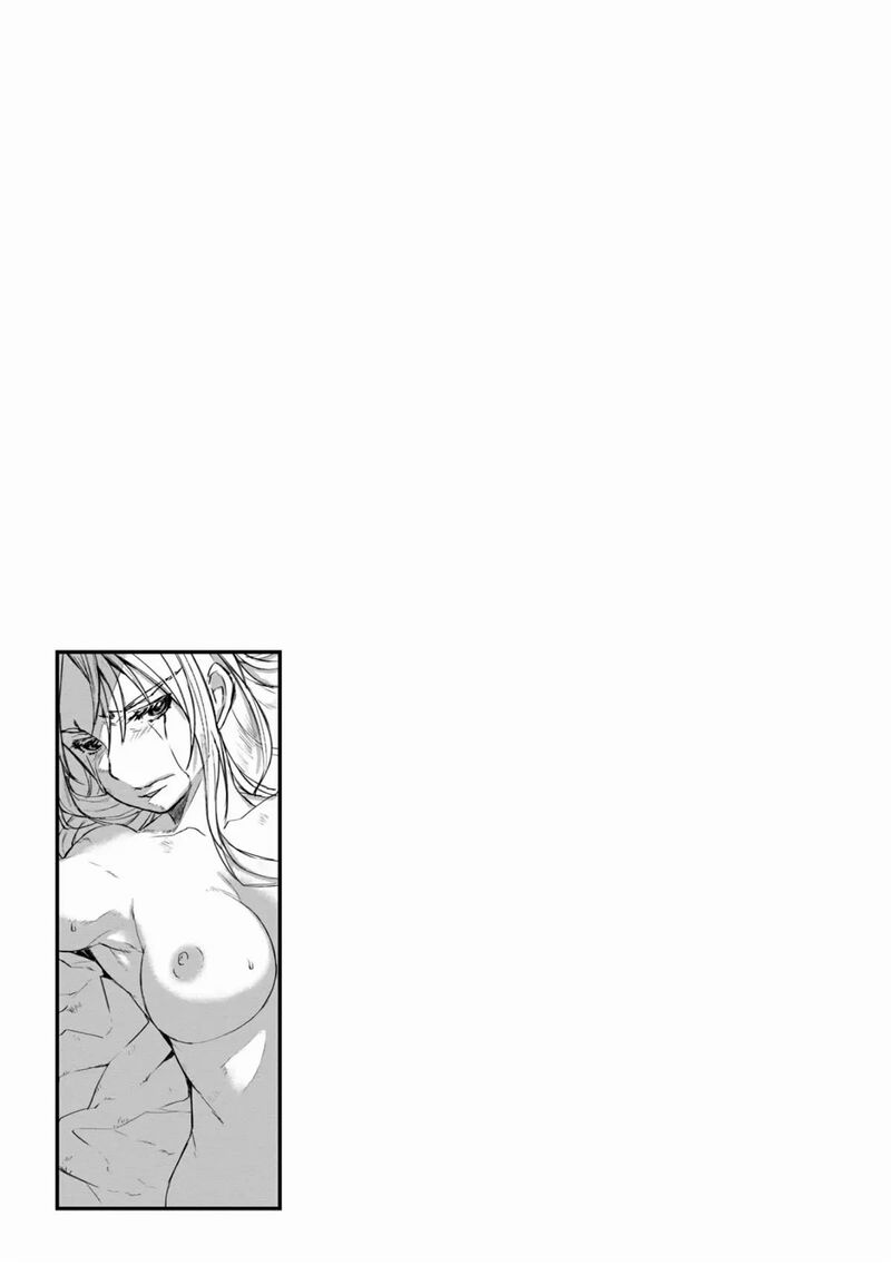 Lion Coeur Senki 24 28