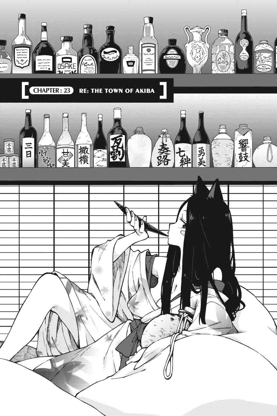 Log Horizon Nishikaze No Ryodan 23 1