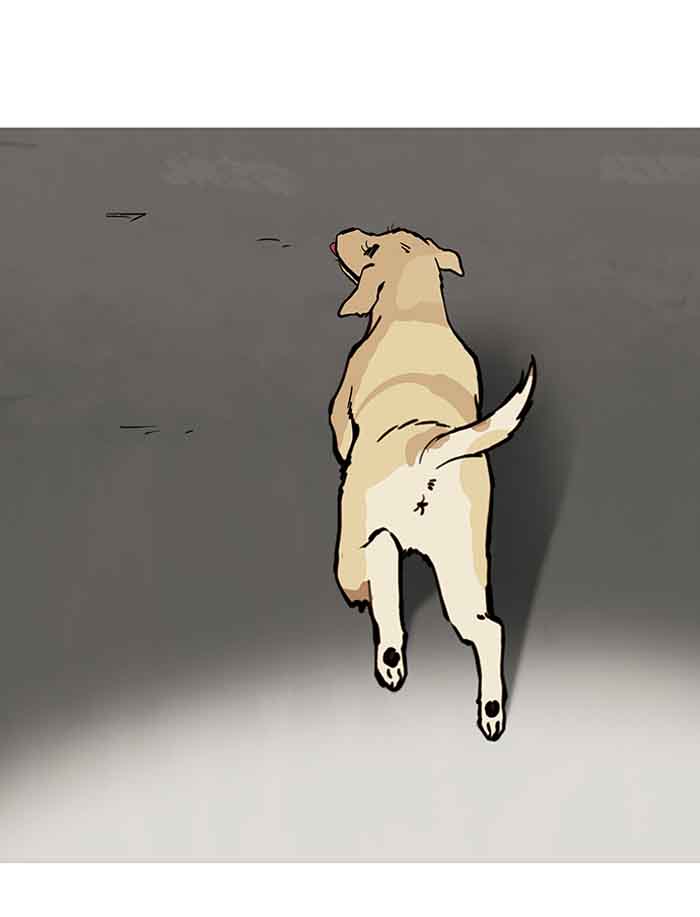 Lookism 150 17