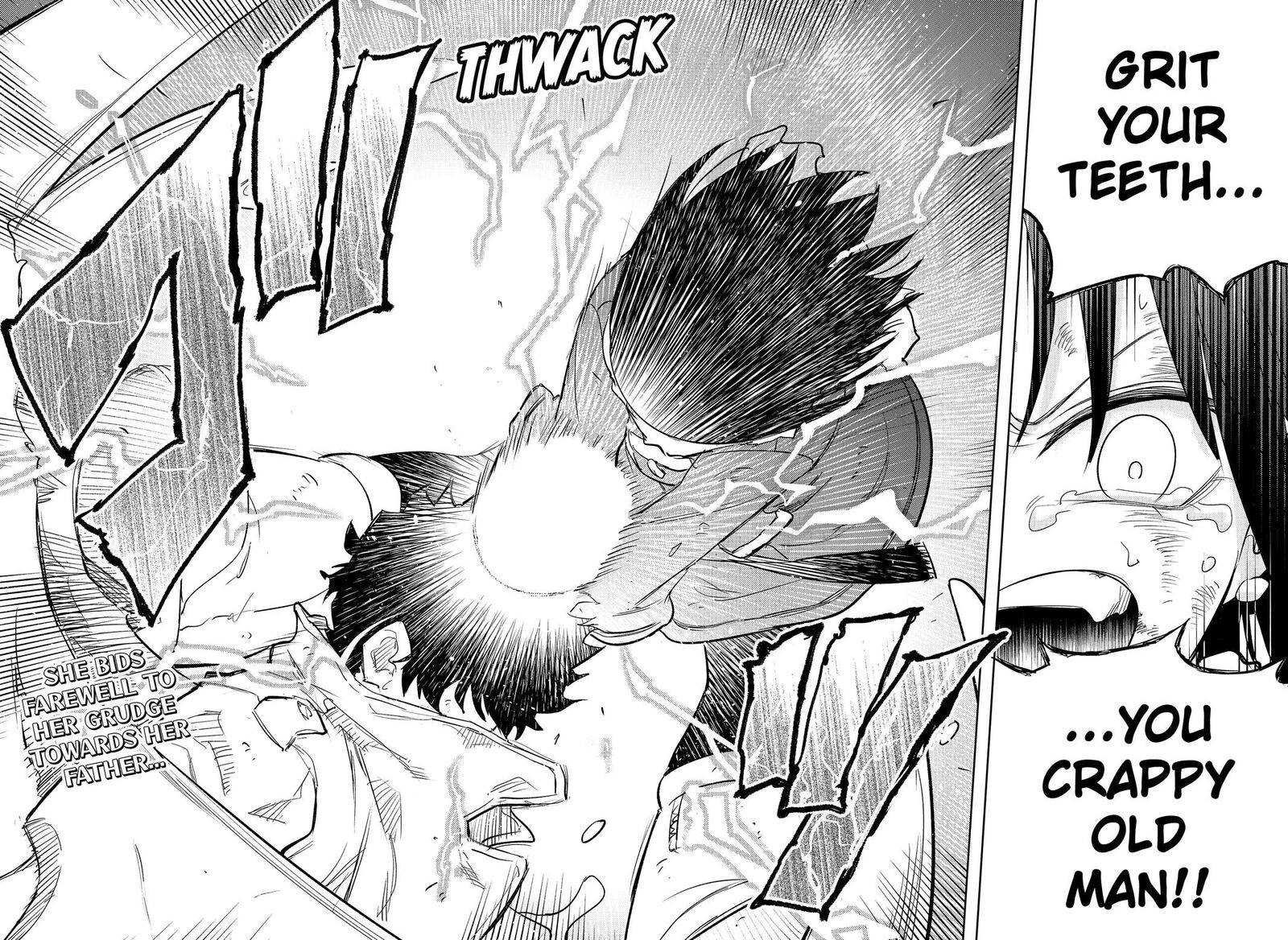 Lunatic Terrapop 26 24