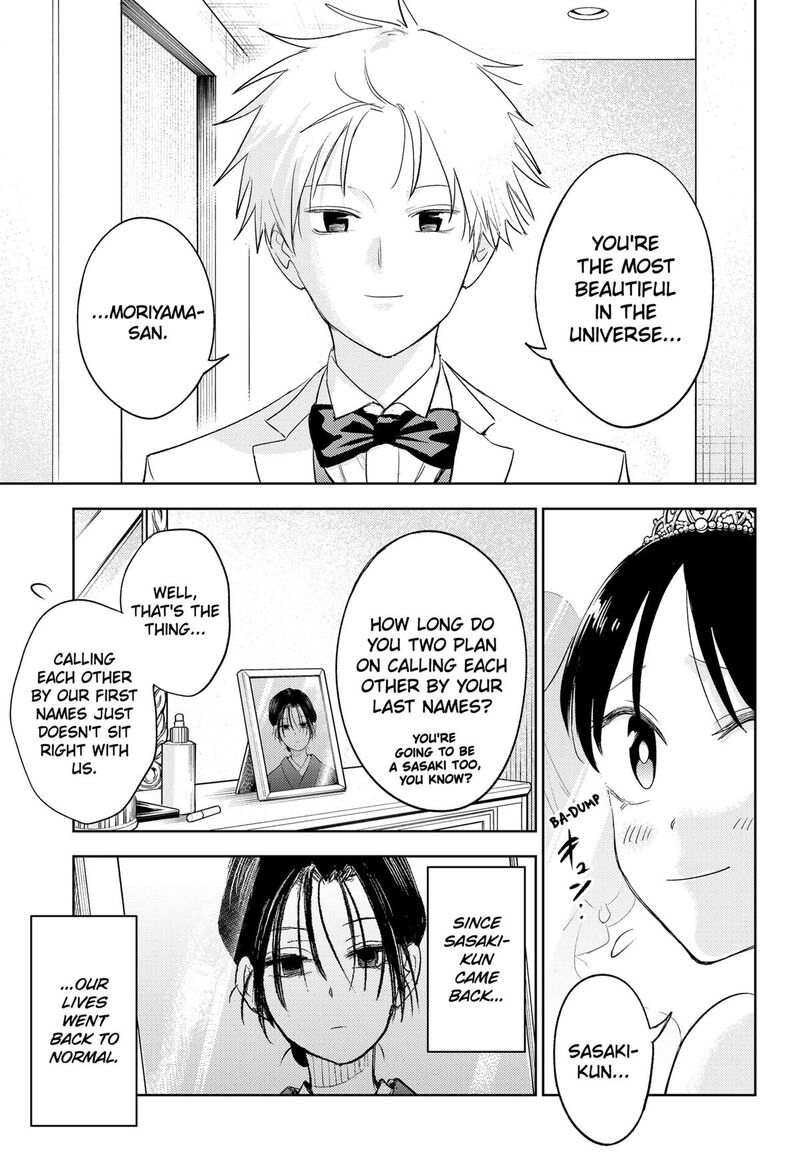 Lunatic Terrapop 35 30