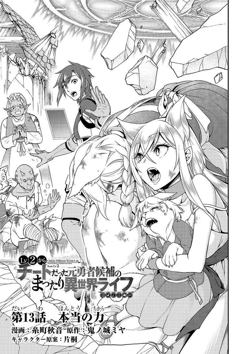 Lv2 Kara Cheat Datta Moto Yuusha Kouho No Mattari Isekai Life 13 1
