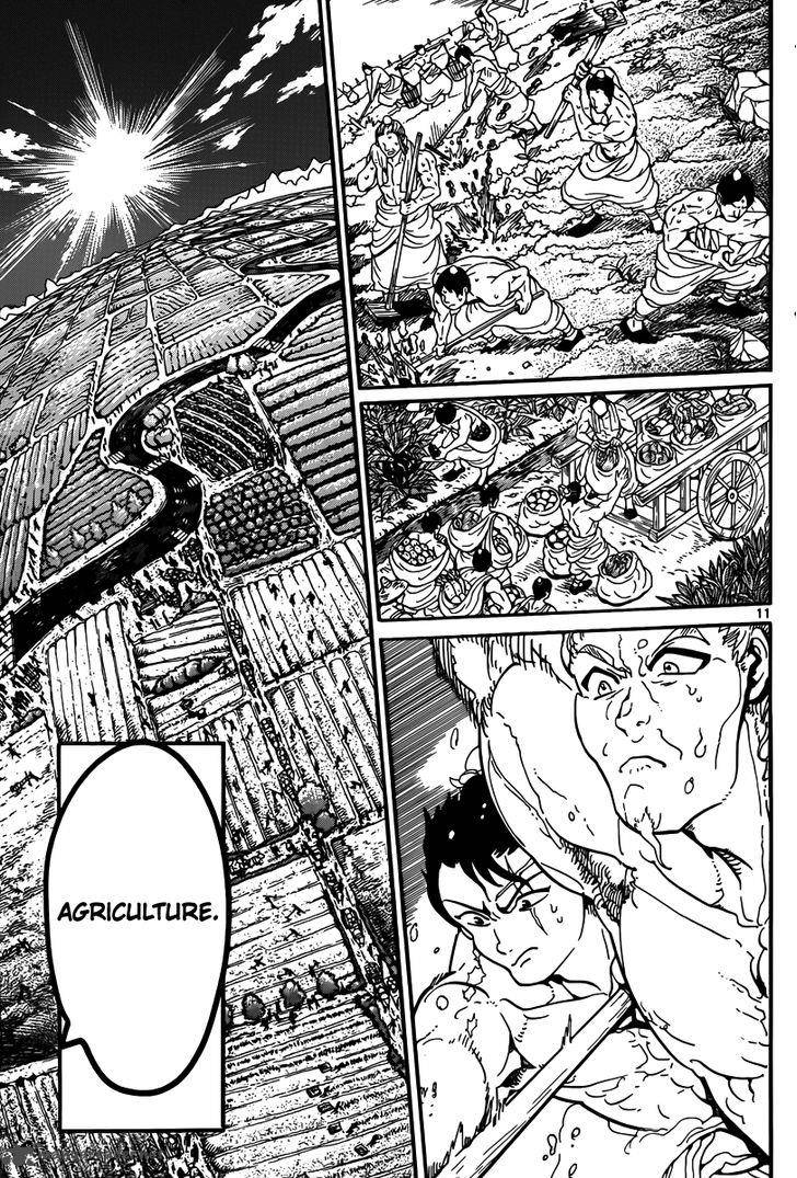 Magi 293 13