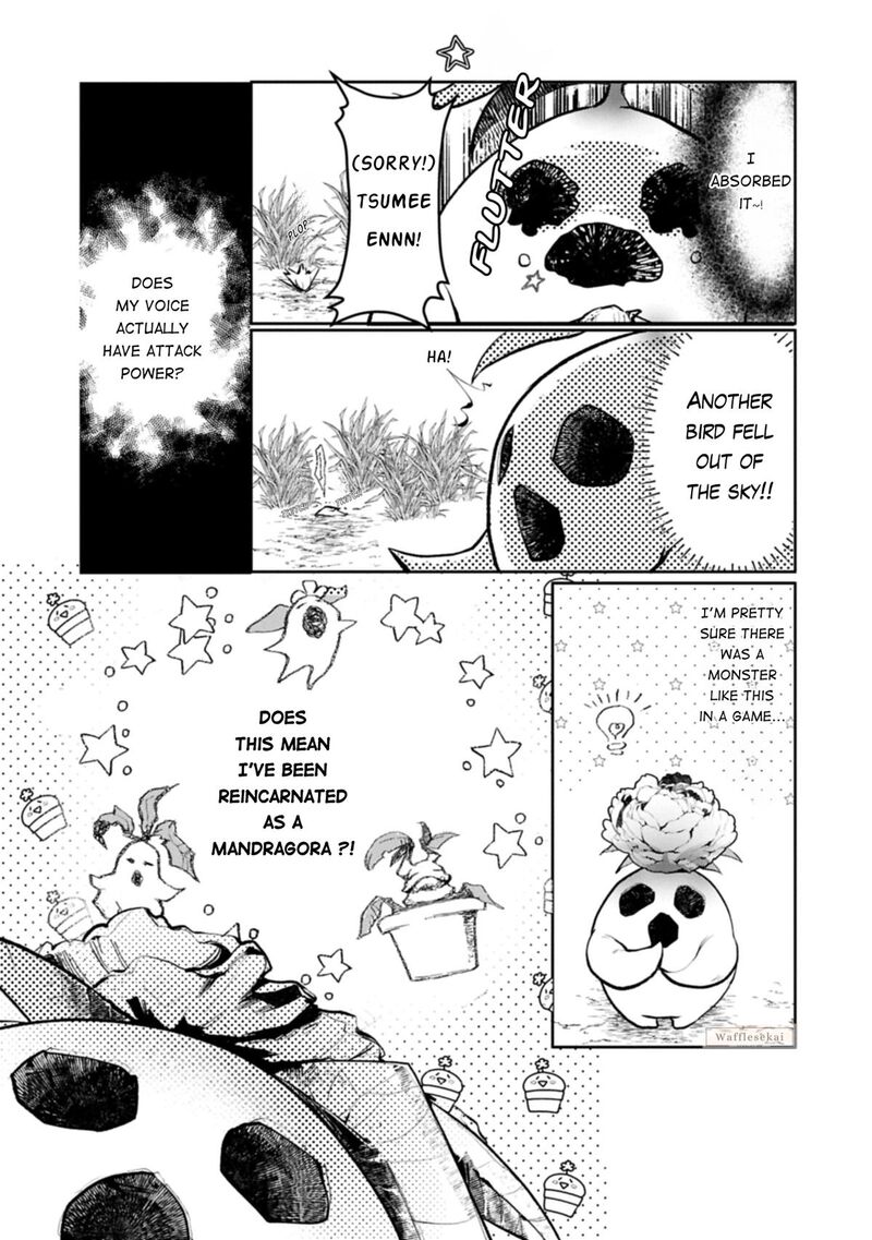 Mandragora Tte Baretara Toubatsu Desu Ka Hana No Majo No Hohoemi Wa Kanchigai No Tane O Maku 1 12