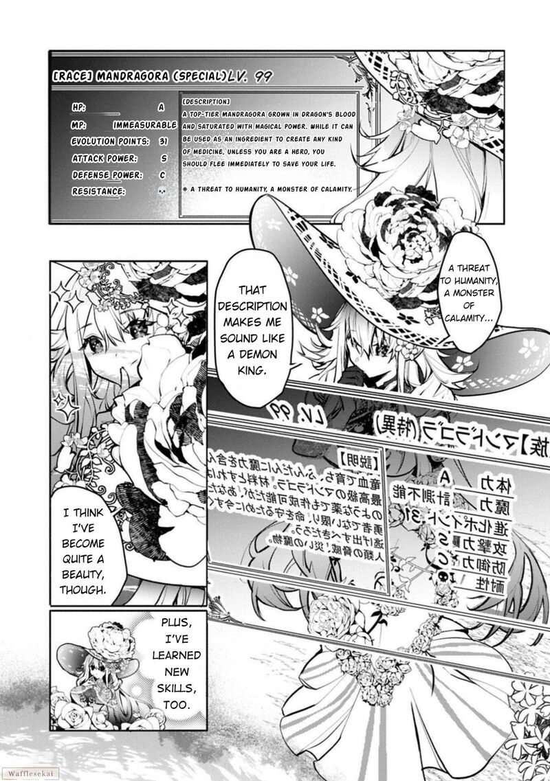 Mandragora Tte Baretara Toubatsu Desu Ka Hana No Majo No Hohoemi Wa Kanchigai No Tane O Maku 2 14