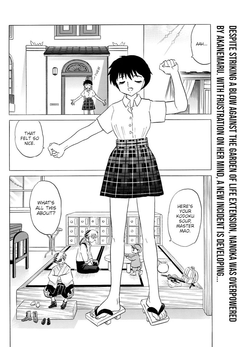 Mao 113 2
