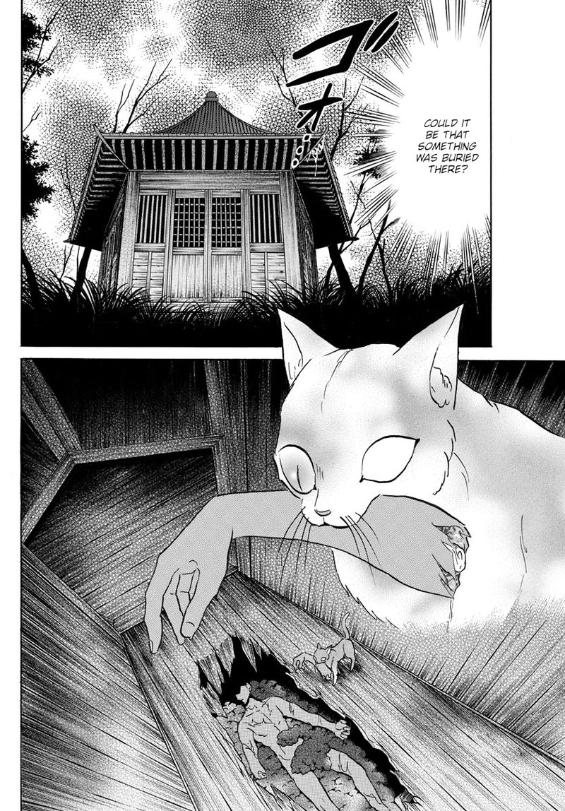 Mao 119 8