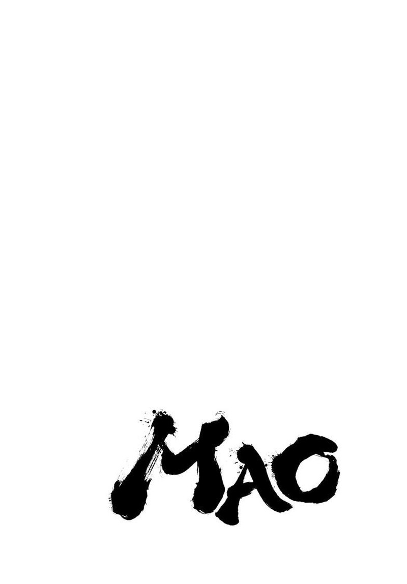 Mao 310 2