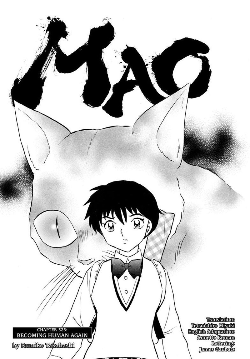 Mao 323 2