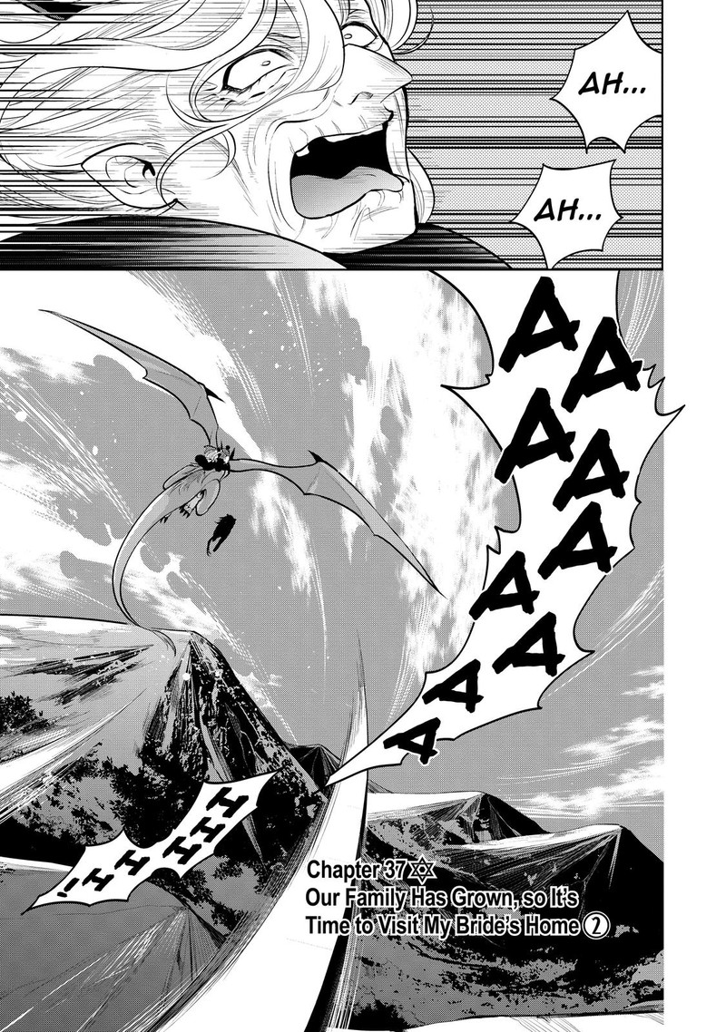 Maou No Ore Ga Dorei Elf Wo Yome Ni Shitanda Ga Dou Medereba II 37 1