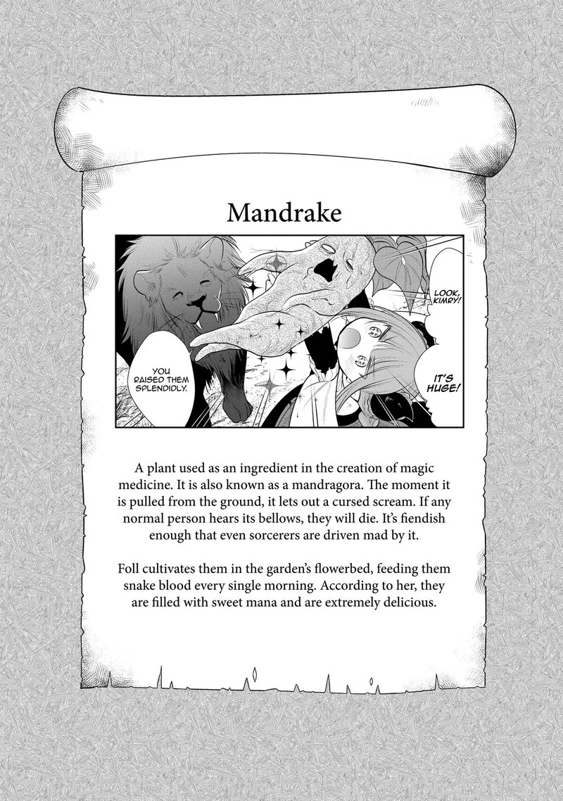 Maou No Ore Ga Dorei Elf Wo Yome Ni Shitanda Ga Dou Medereba II 37 20
