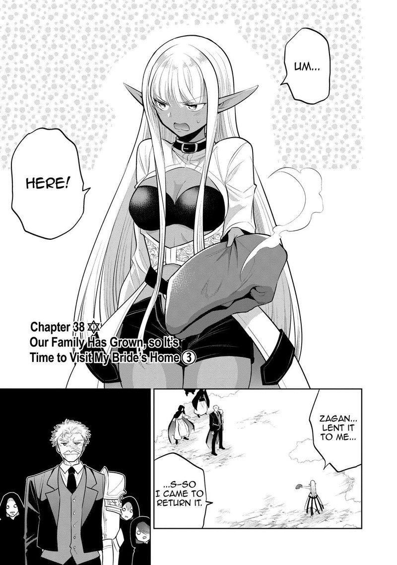 Maou No Ore Ga Dorei Elf Wo Yome Ni Shitanda Ga Dou Medereba II 38 7