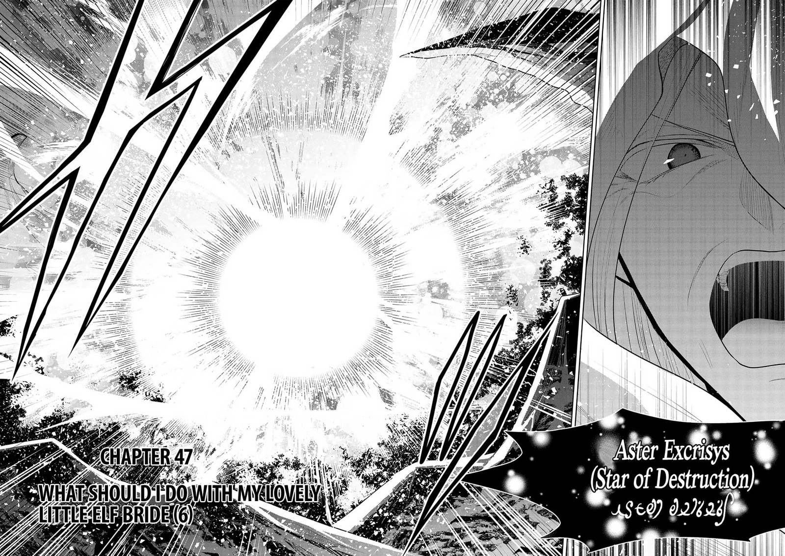 Maou No Ore Ga Dorei Elf Wo Yome Ni Shitanda Ga Dou Medereba II 47 2