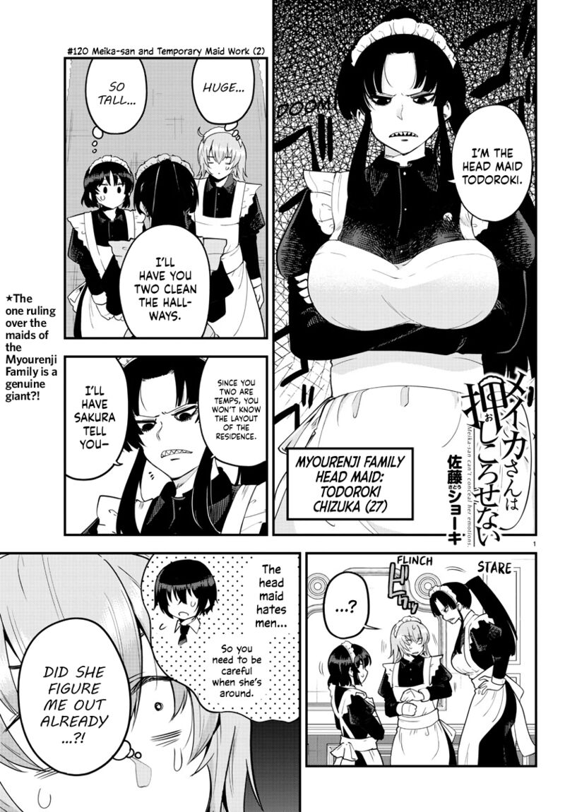 Meika San Wa Oshi Korosenai 120 1