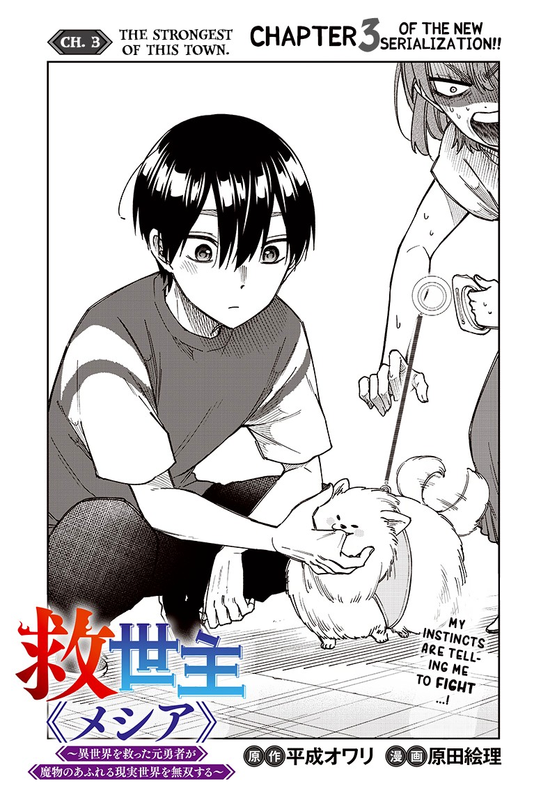 Messiah Isekai O Sukutta Moto Yuusha Ga Mamono No Afureru Genjitsu Sekai O Musou Suru 3 1