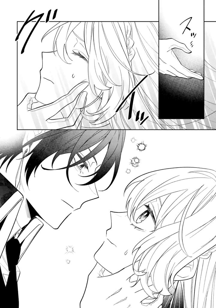 Migawari De Totsuida Reikoku Kokuou Wa Hatsukoi Aite Deshita 1 27