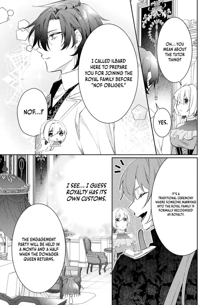 Migawari De Totsuida Reikoku Kokuou Wa Hatsukoi Aite Deshita 3 10