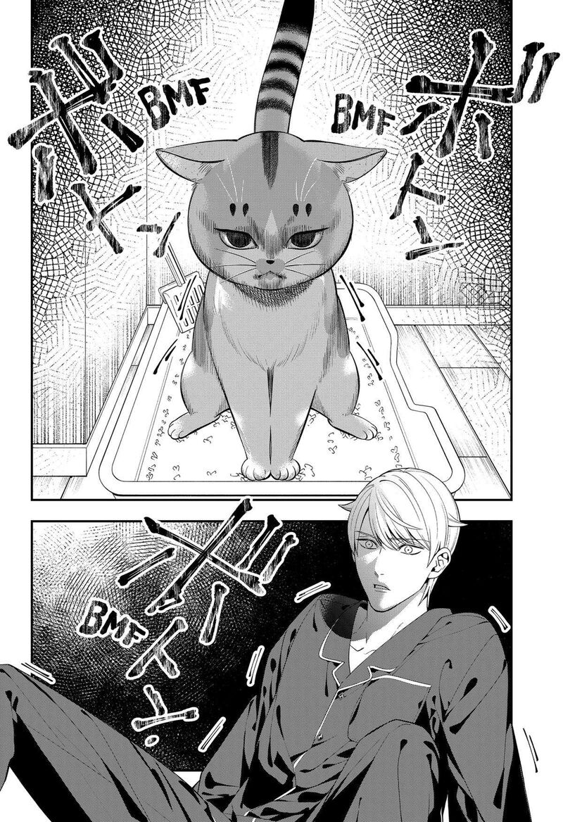 Miyaou Tarou Ga Neko Wo Kau Nante 1 43