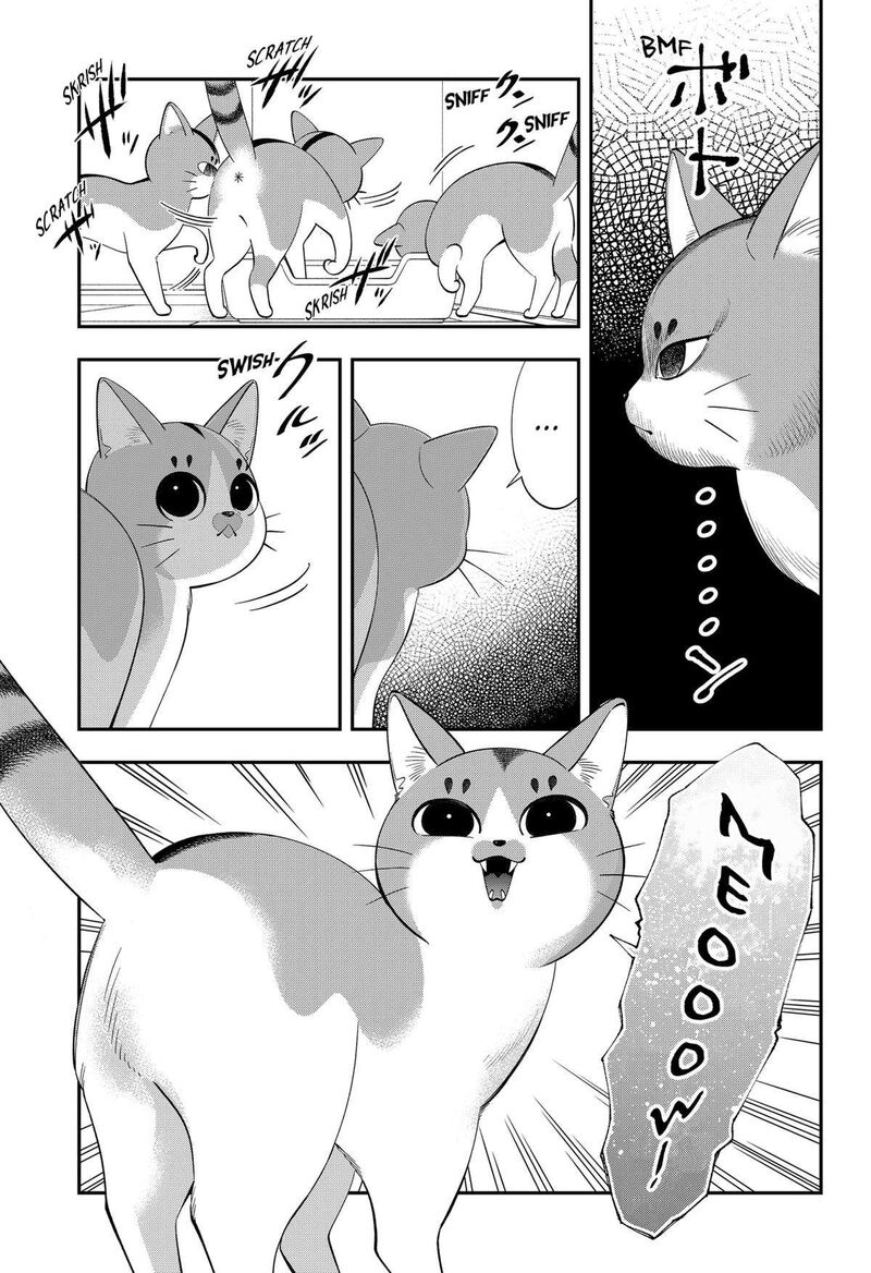 Miyaou Tarou Ga Neko Wo Kau Nante 1 44