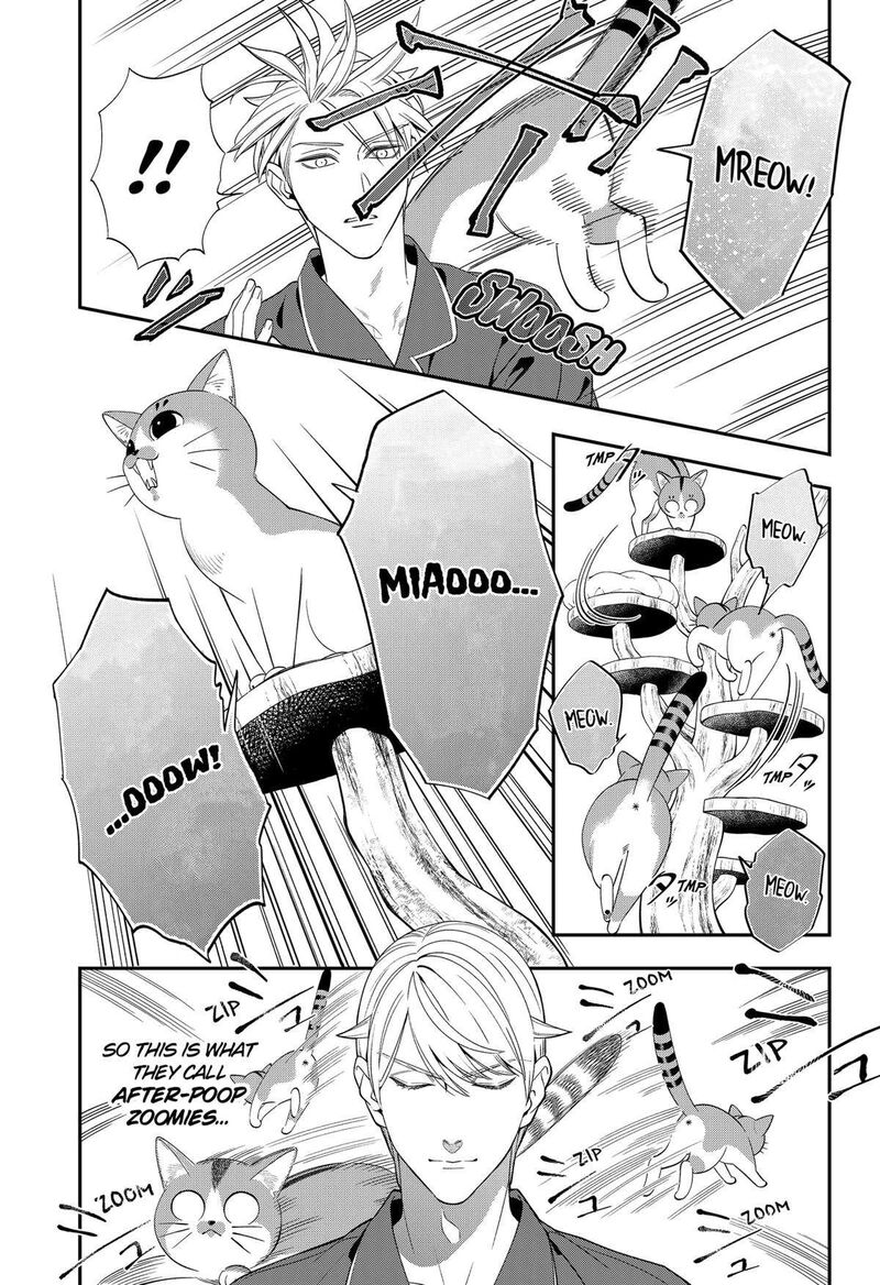 Miyaou Tarou Ga Neko Wo Kau Nante 1 46