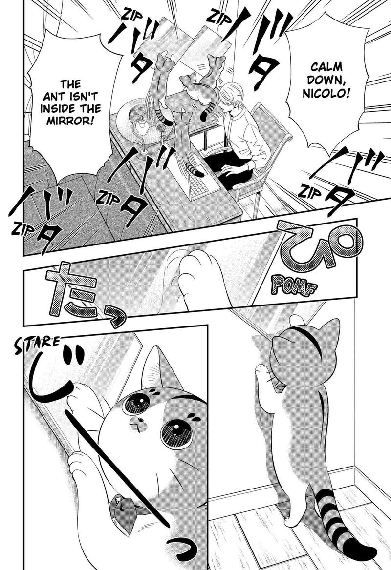 Miyaou Tarou Ga Neko Wo Kau Nante 14 8