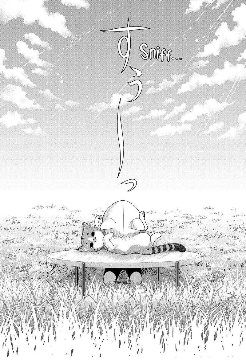 Miyaou Tarou Ga Neko Wo Kau Nante 18 8
