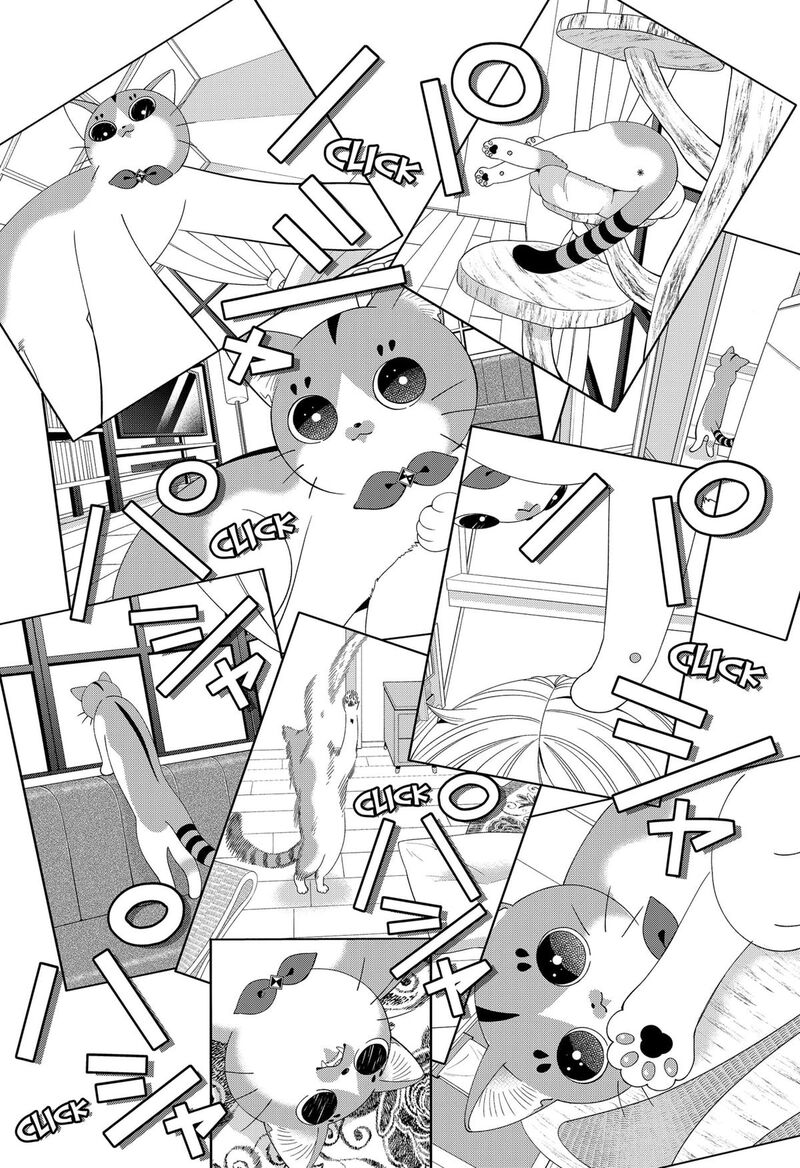 Miyaou Tarou Ga Neko Wo Kau Nante 19 6