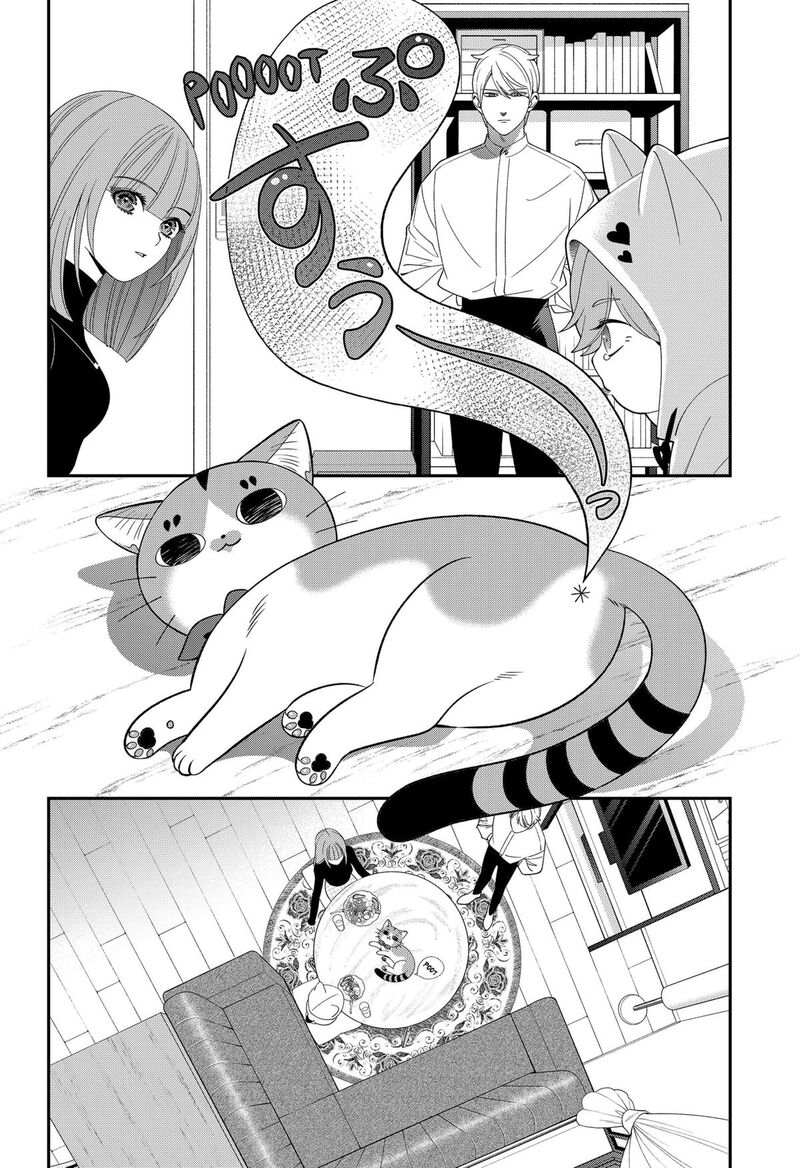 Miyaou Tarou Ga Neko Wo Kau Nante 20 8