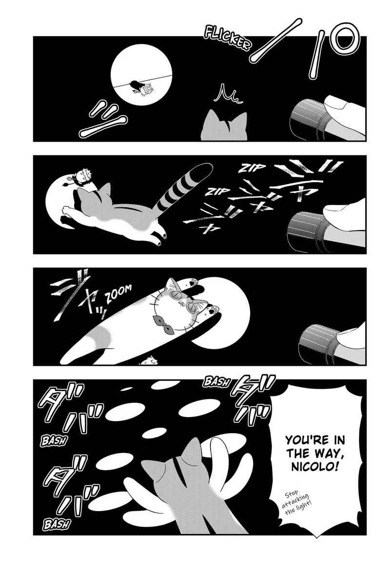 Miyaou Tarou Ga Neko Wo Kau Nante 26 5