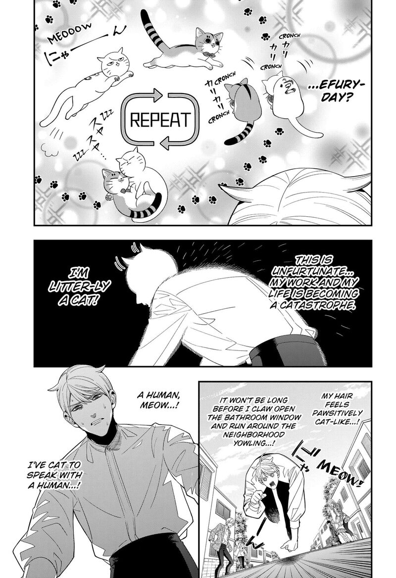 Miyaou Tarou Ga Neko Wo Kau Nante 33 13