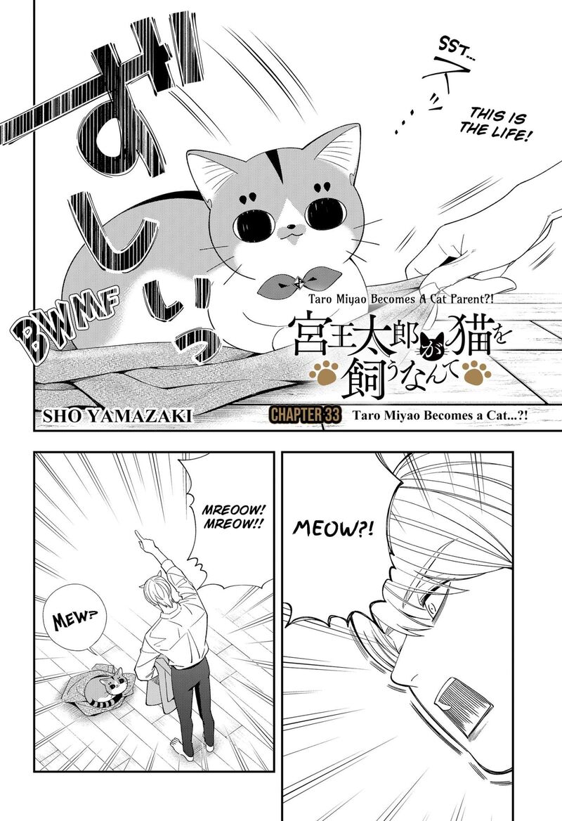 Miyaou Tarou Ga Neko Wo Kau Nante 33 2