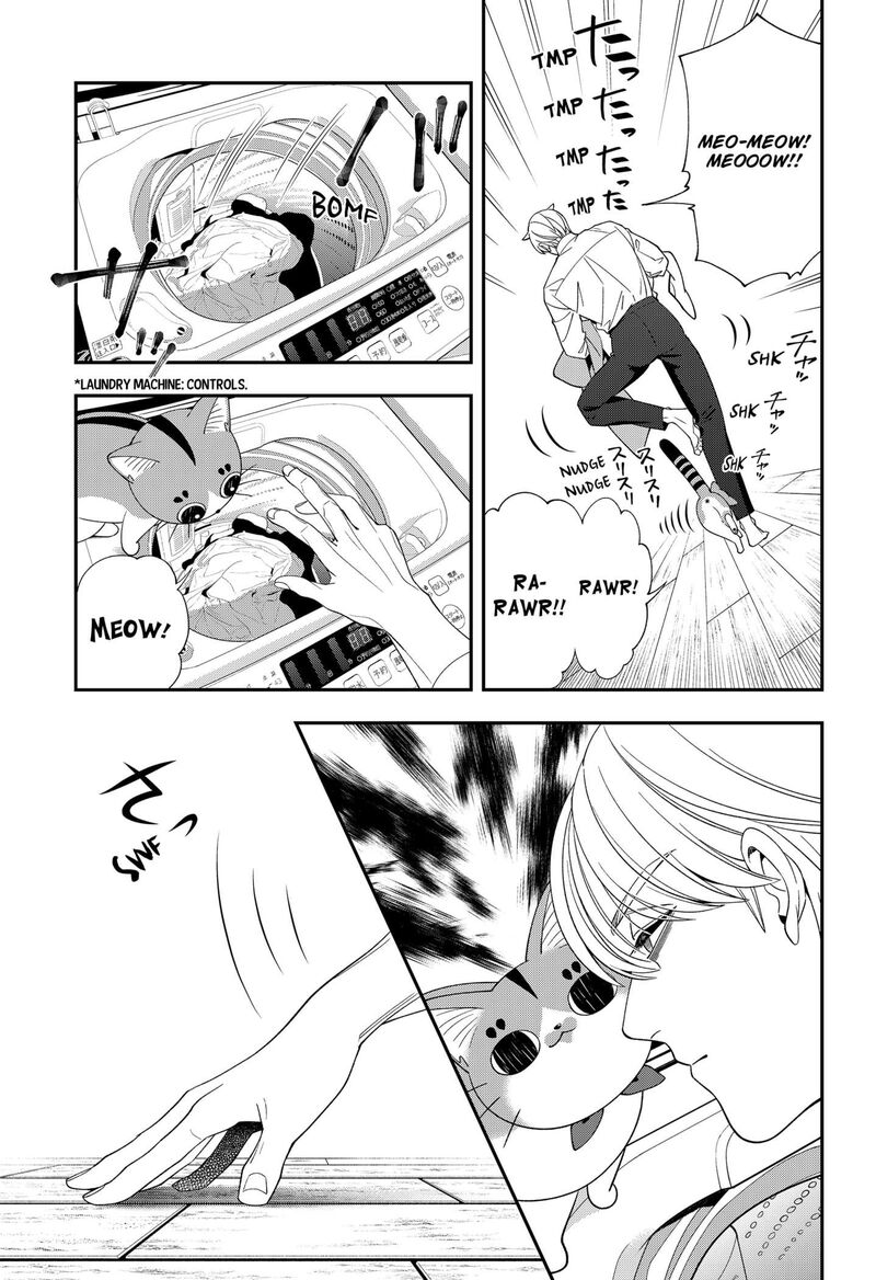 Miyaou Tarou Ga Neko Wo Kau Nante 33 3