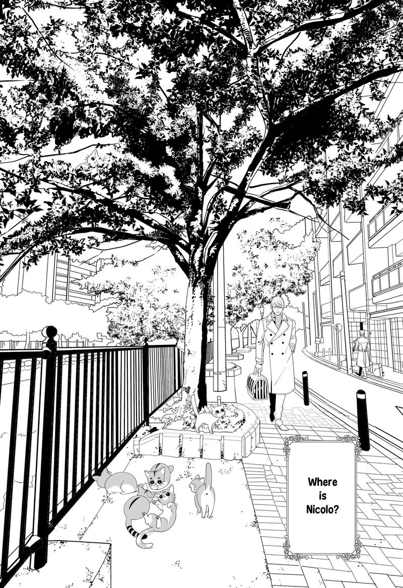Miyaou Tarou Ga Neko Wo Kau Nante 33e 1