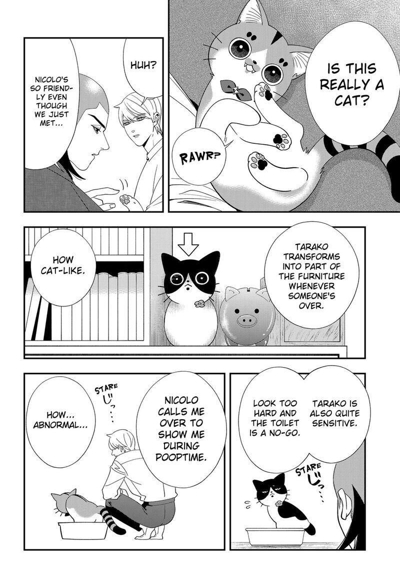 Miyaou Tarou Ga Neko Wo Kau Nante 36 6