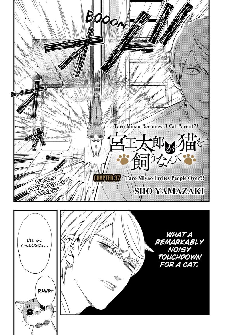 Miyaou Tarou Ga Neko Wo Kau Nante 37 2